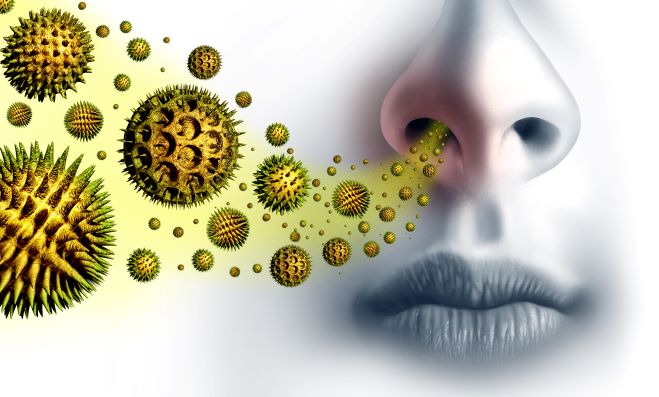 pylové částice se při vdechování dostávají přes nos do organismu